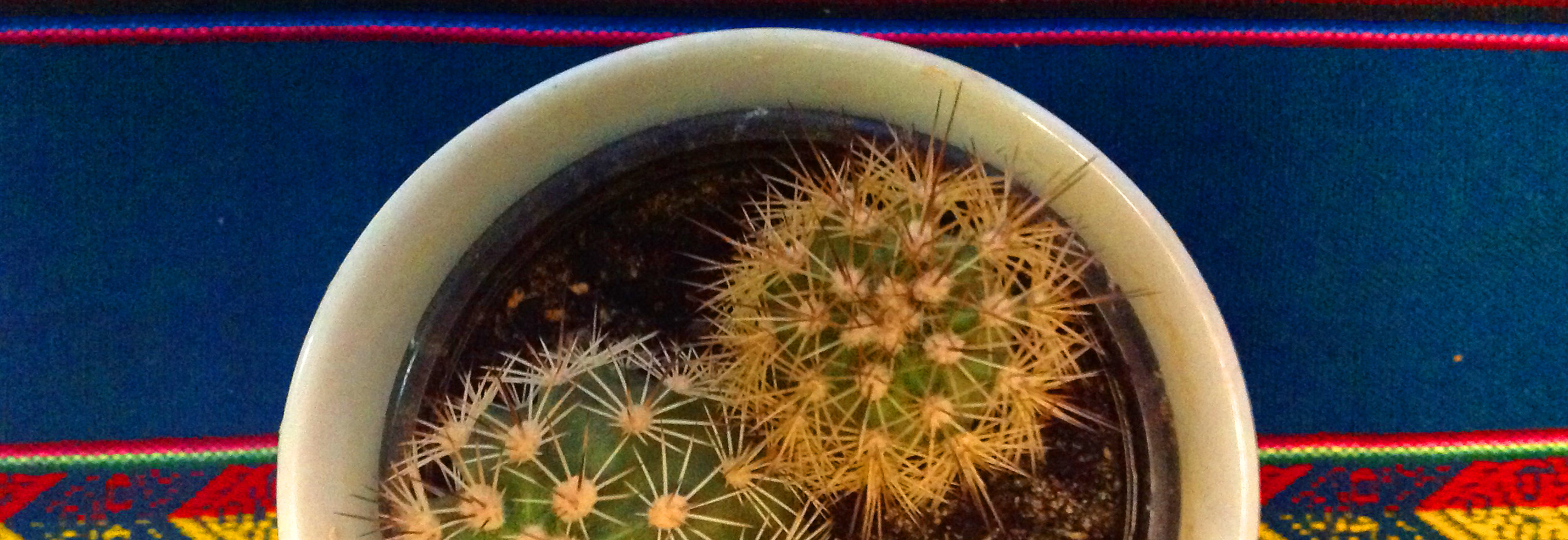 Breve guía sobre el cambio Consulta de Psicologia en Sevilla